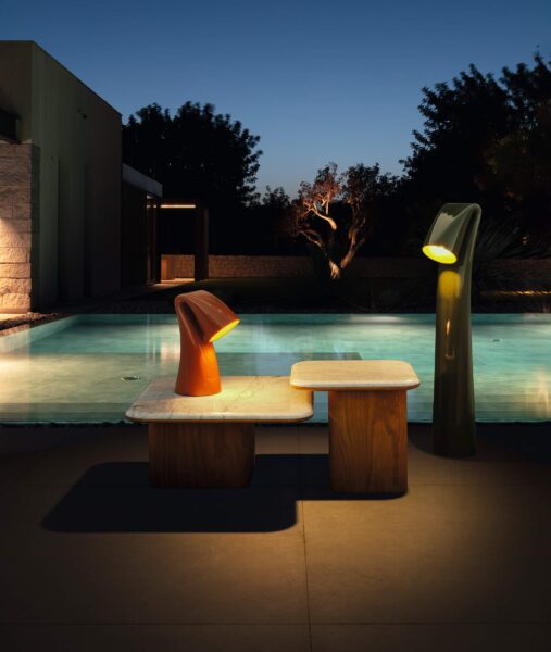 Swan Lamp S 0